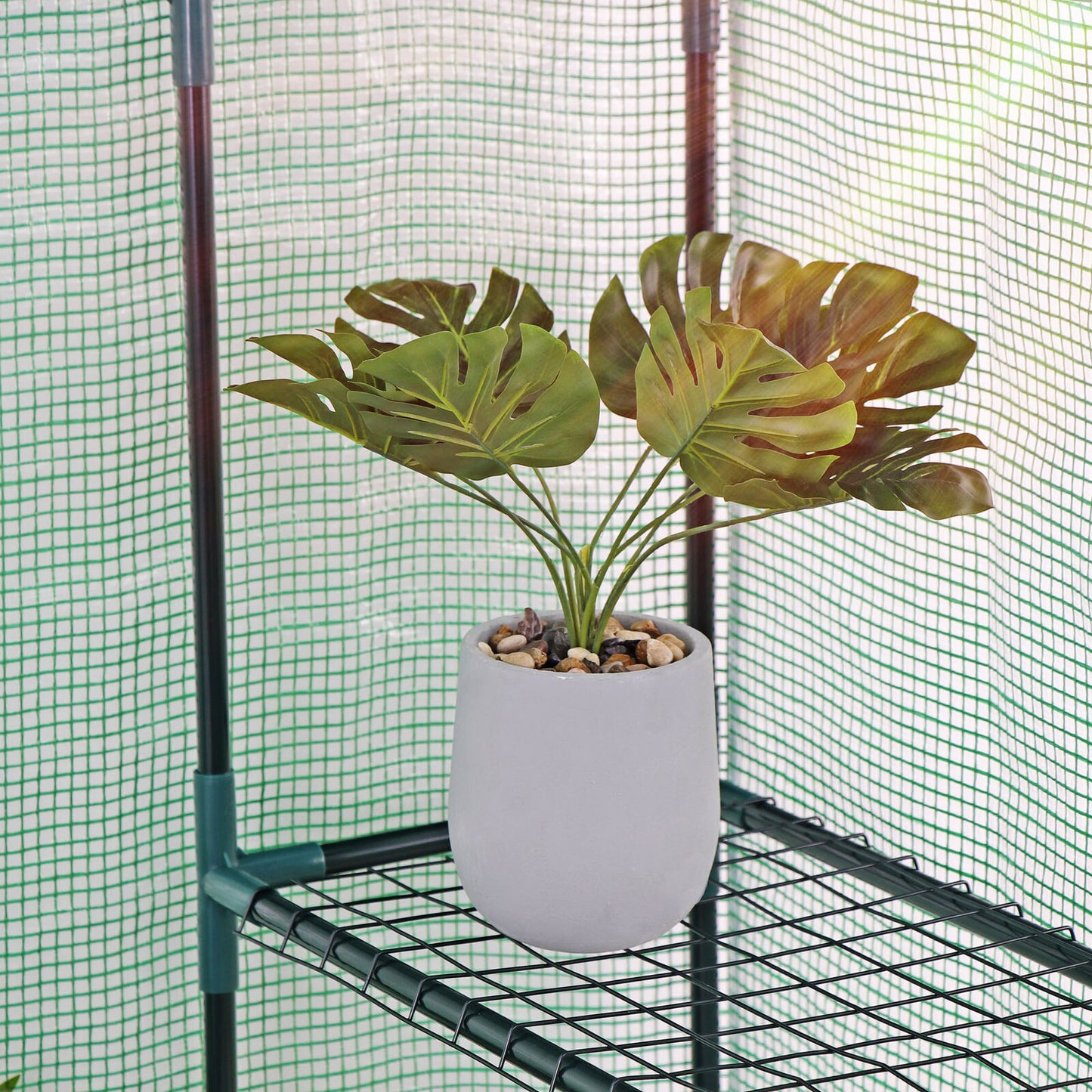 6 Shelves Walk-In Greenhouse Garden House Plants Flowers Green Plant Insulation